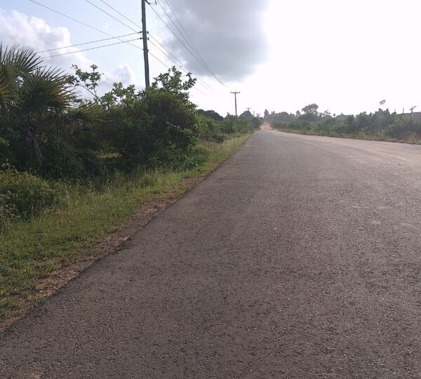 WhatsApp Image 2025 01 01 at 21.00.52 1