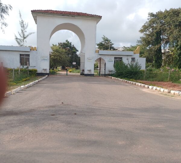 WhatsApp Image 2025 01 01 at 21.00.53 1