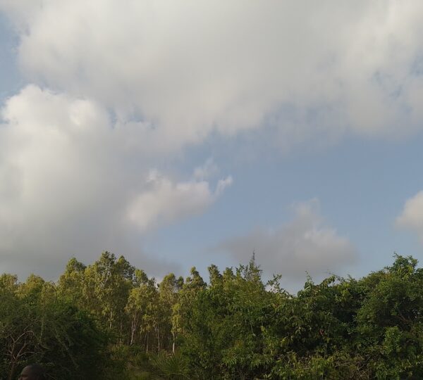 WhatsApp Image 2025 01 01 at 21.00.59 1