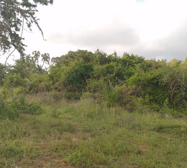 WhatsApp Image 2025 01 01 at 21.00.59