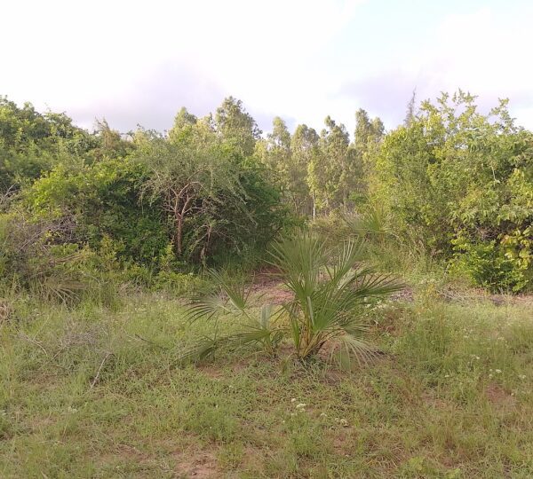 WhatsApp Image 2025 01 01 at 21.01.04