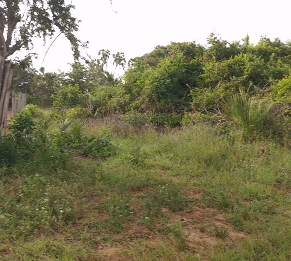 WhatsApp Image 2025 01 01 at 21.01.06