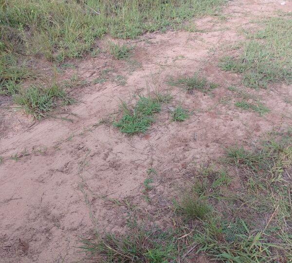 WhatsApp Image 2025 01 01 at 21.01.07 1