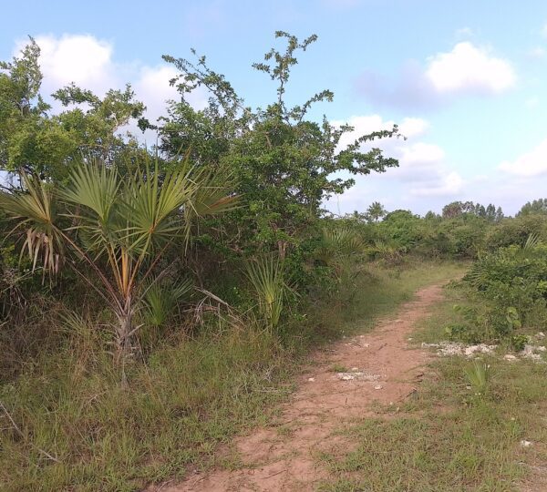 WhatsApp Image 2025 01 01 at 21.01.07 2