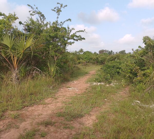 WhatsApp Image 2025 01 01 at 21.01.07