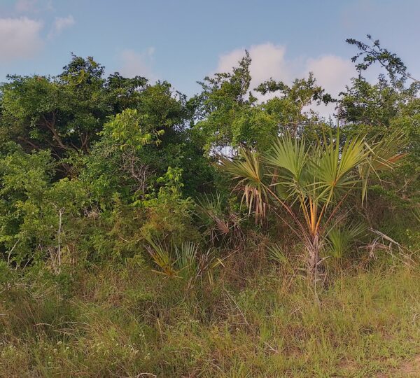 WhatsApp Image 2025 01 01 at 21.01.08