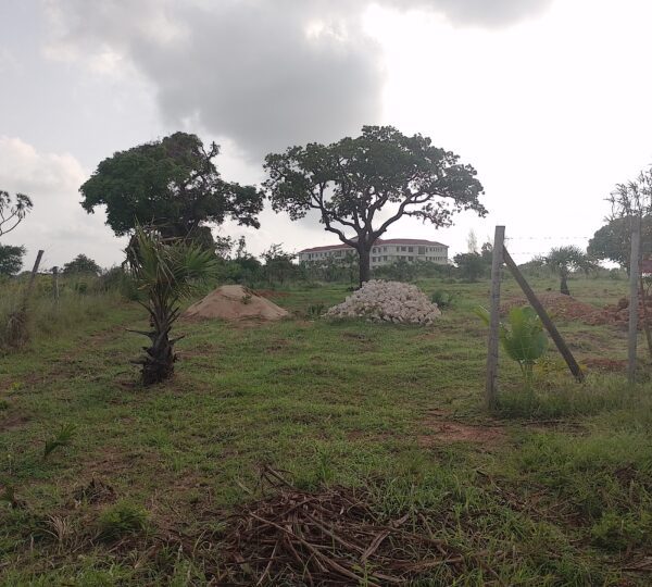 WhatsApp Image 2025 01 01 at 21.01.14