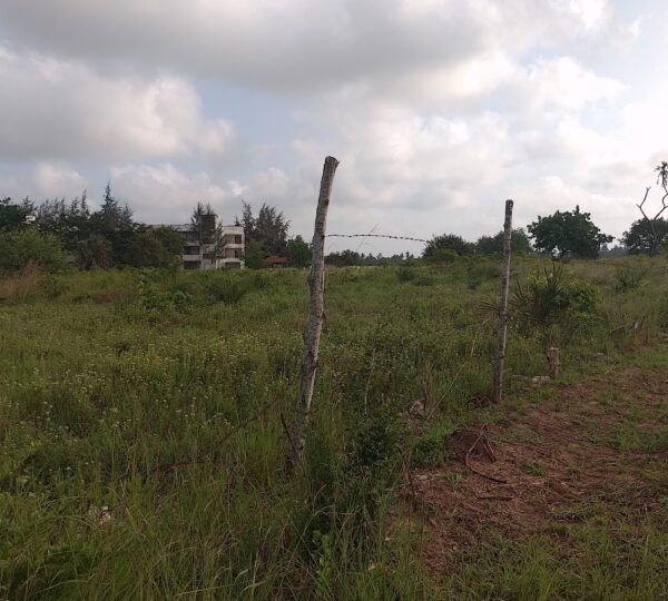 WhatsApp Image 2025 01 01 at 21.01.26