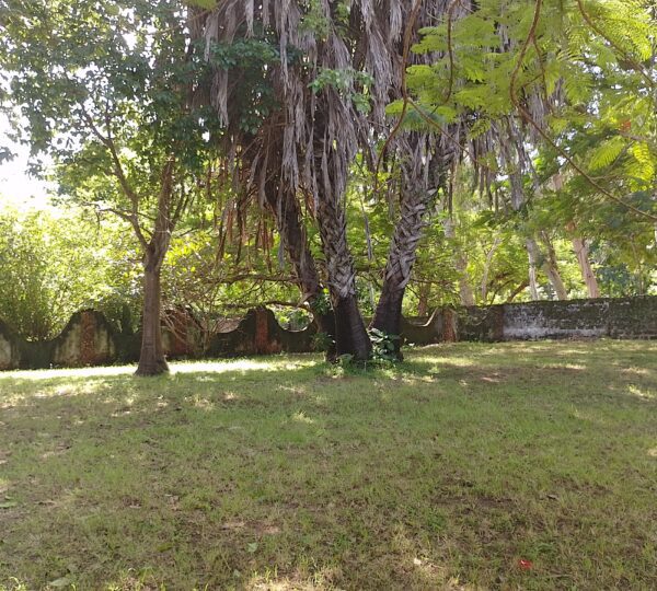 a11a 1